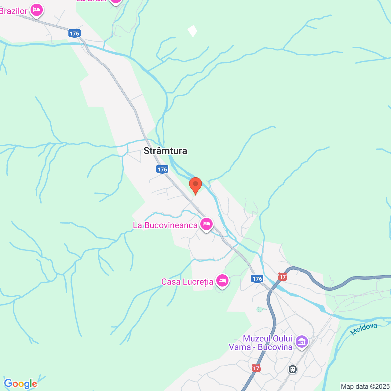 Poza harta streetview, zoom 14, adresa Vama Suceava, , judetul