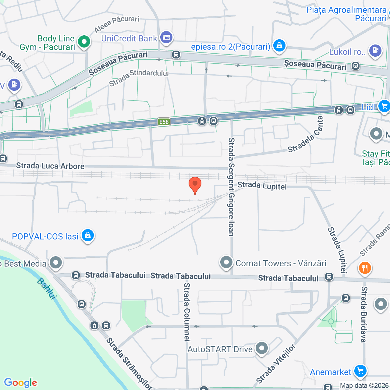 Poza harta streetview, zoom 16, adresa Iași, str. Sergent Grigore Ioan, nr. 7, , judetul