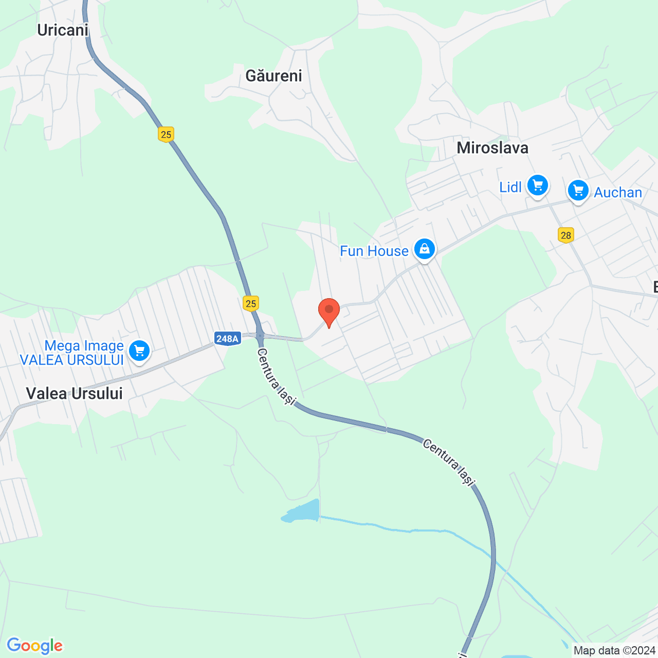 Poza harta streetview, zoom 14, adresa Miroslava, Strada Constantin Langa, , judetul