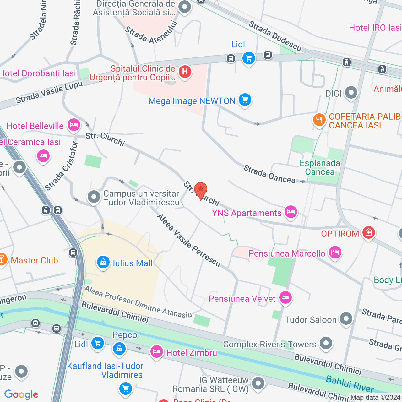 Poza harta streetview, zoom 16, adresa Strada Ciurchi 66 Iasi, , judetul