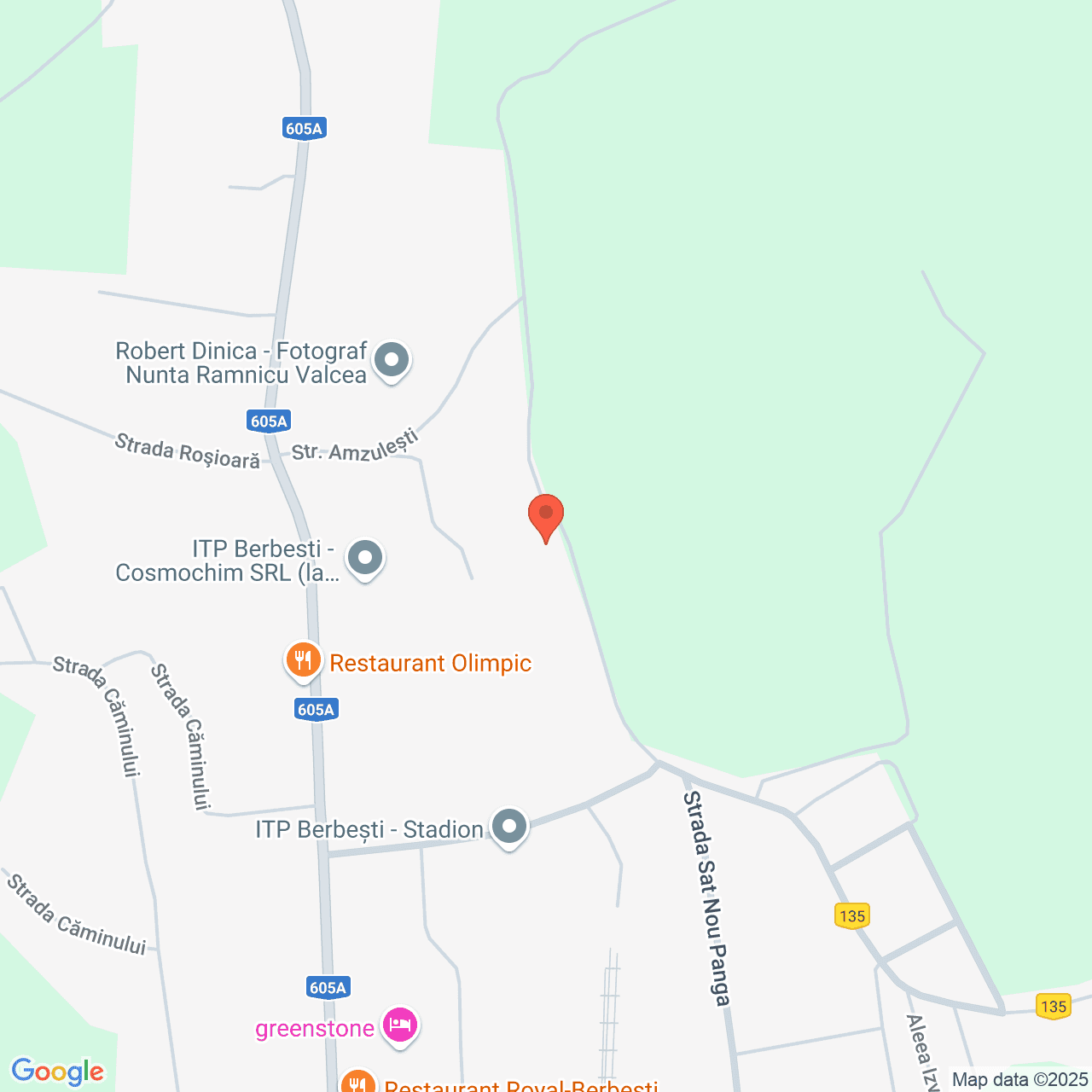 Poza harta streetview, zoom 16, adresa Berbesti Valcea, , judetul