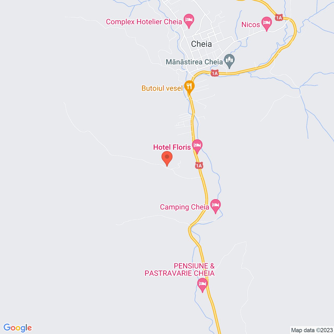 Poza harta streetview, zoom 14, adresa cheia, , judetul