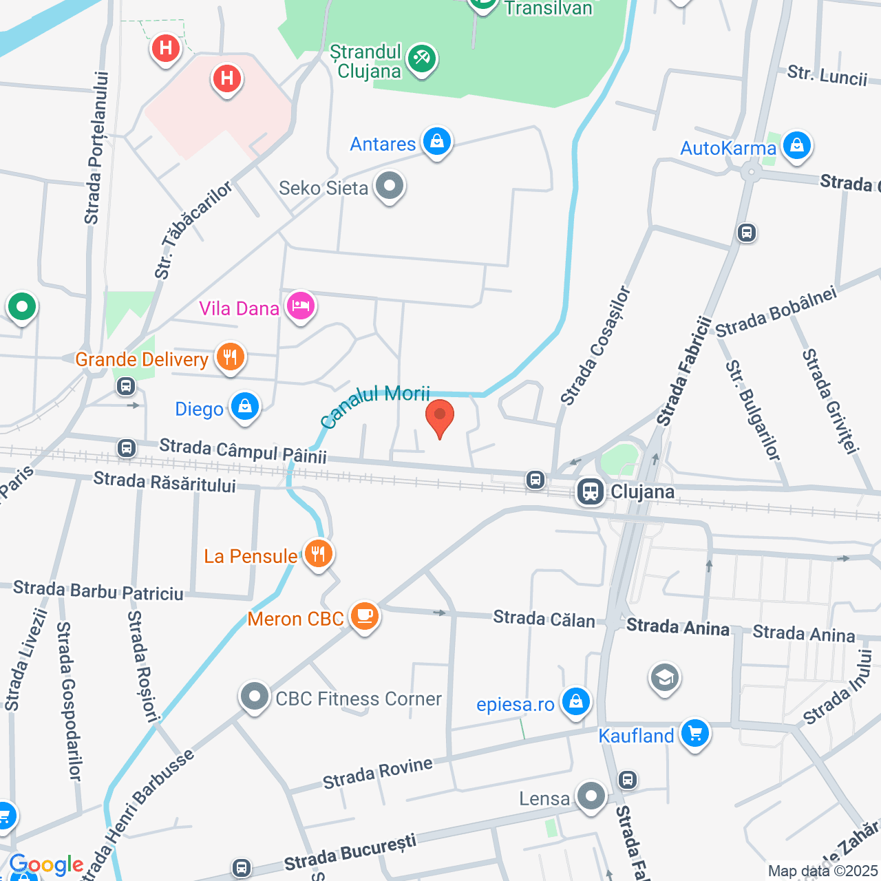 Poza harta streetview, zoom 16, adresa str. Painii, nr.20, Cluj-Napoca, , judetul