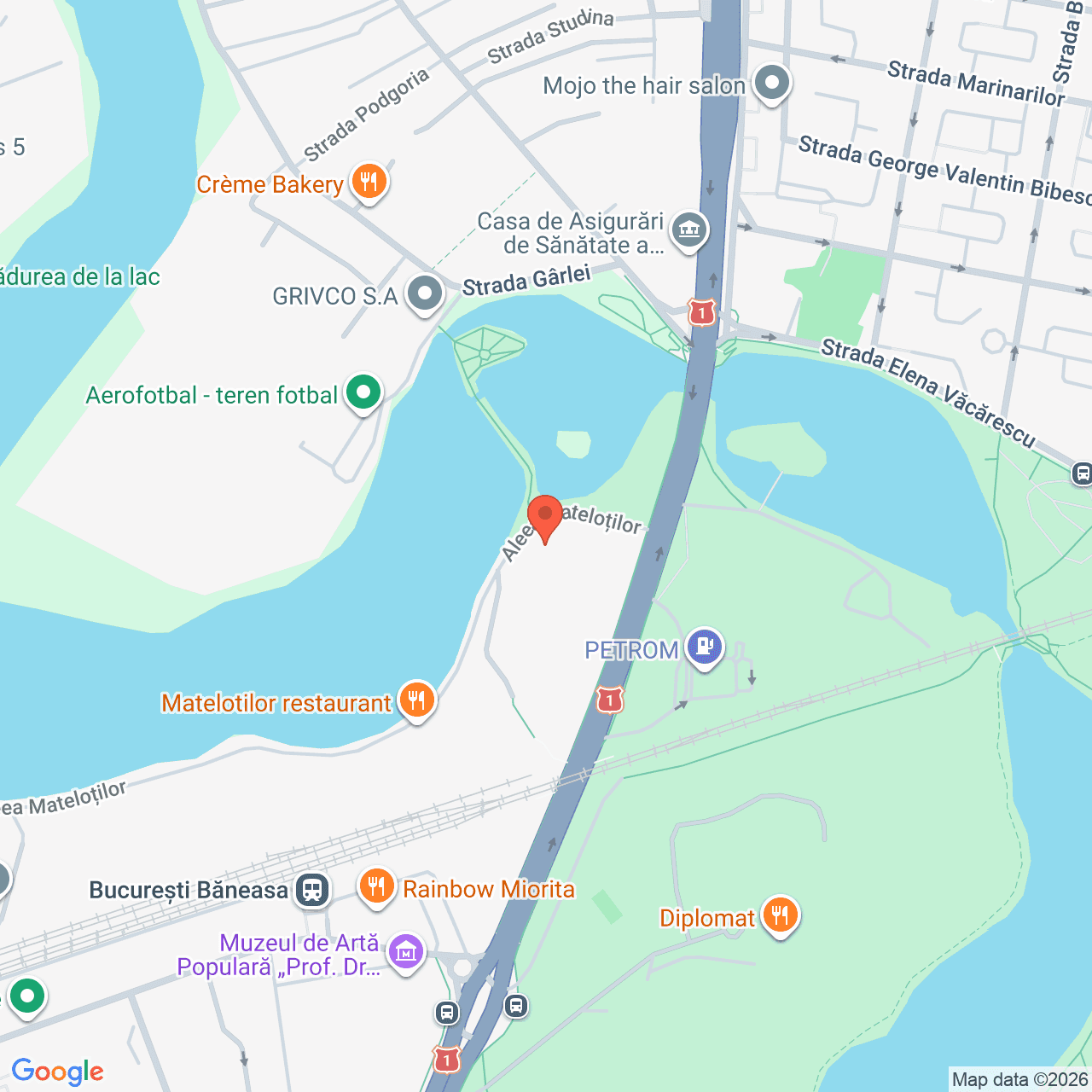 Poza harta streetview, zoom 16, adresa Aleea Matelotilor Bucuresti, , judetul