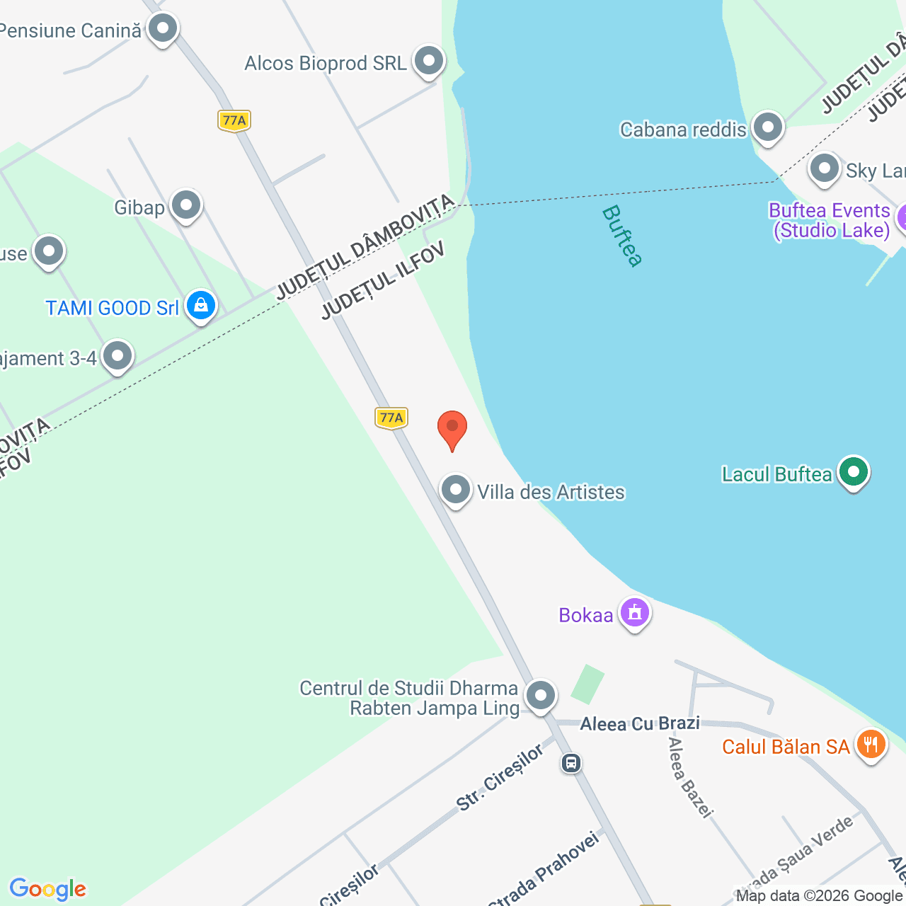 Poza harta streetview, zoom 16, adresa Buftea, judet Ilfov, , judetul