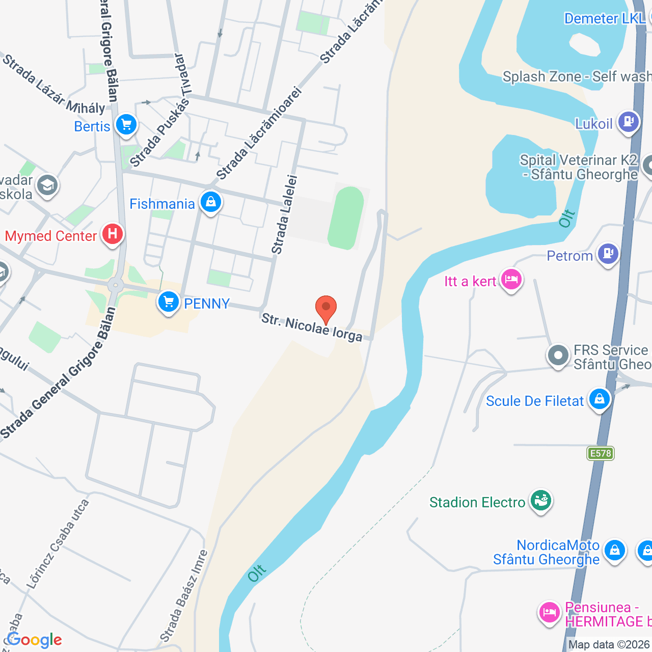 Poza harta streetview, zoom 16, adresa Sfantu Gheorghe, judet Covasna, , judetul
