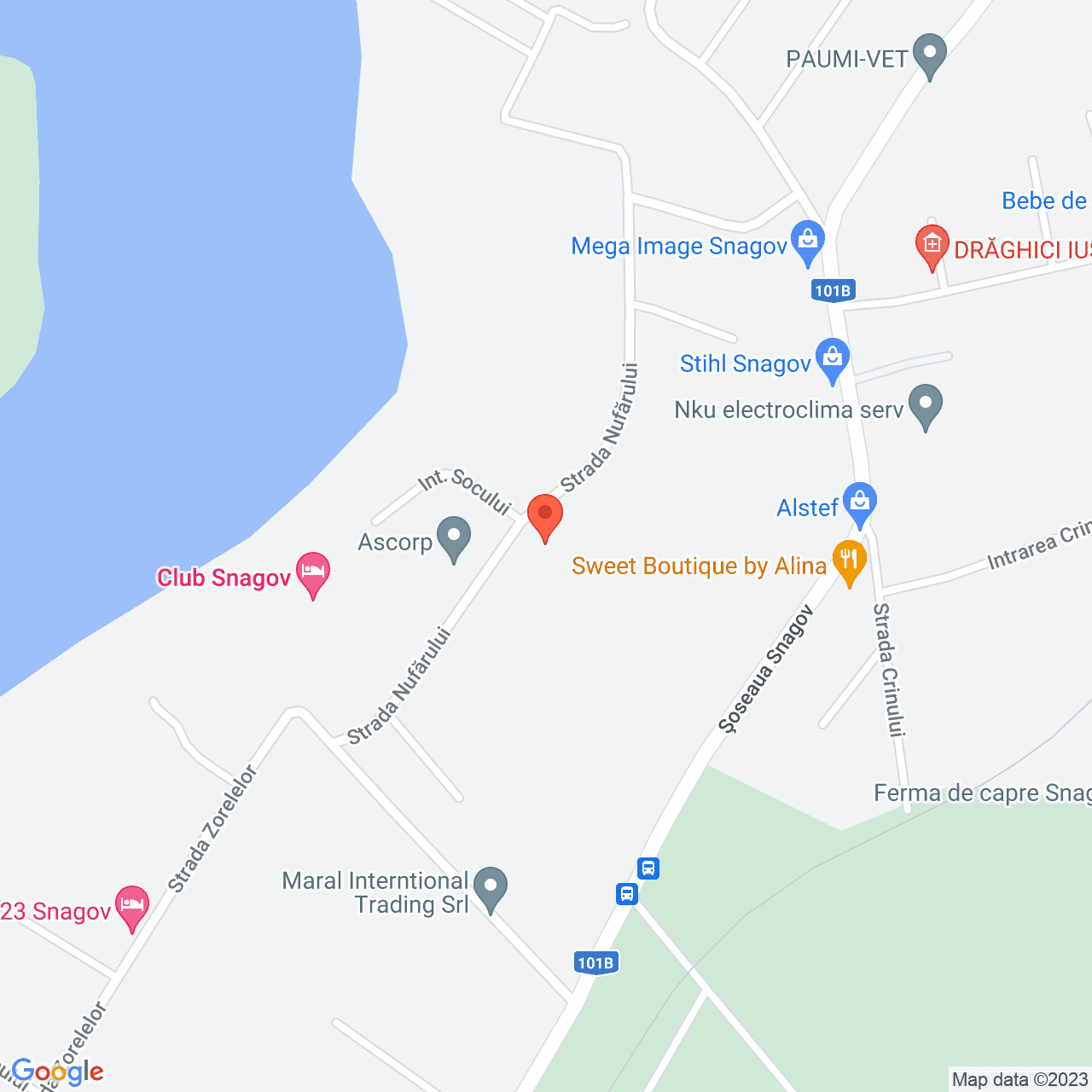 Poza harta streetview, zoom 16, adresa Strada Nuferilor Snagov, , judetul