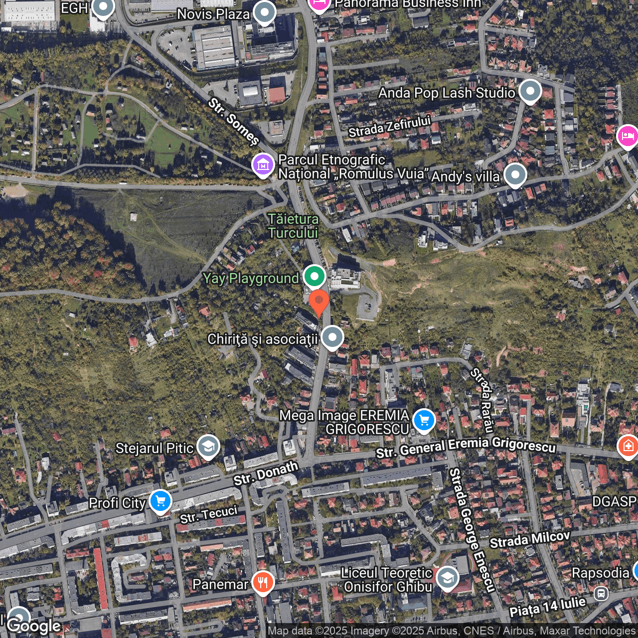 Poza harta hybrid, zoom 16, adresa Strada Tăietura Turcului Cluj Napoca, , judetul