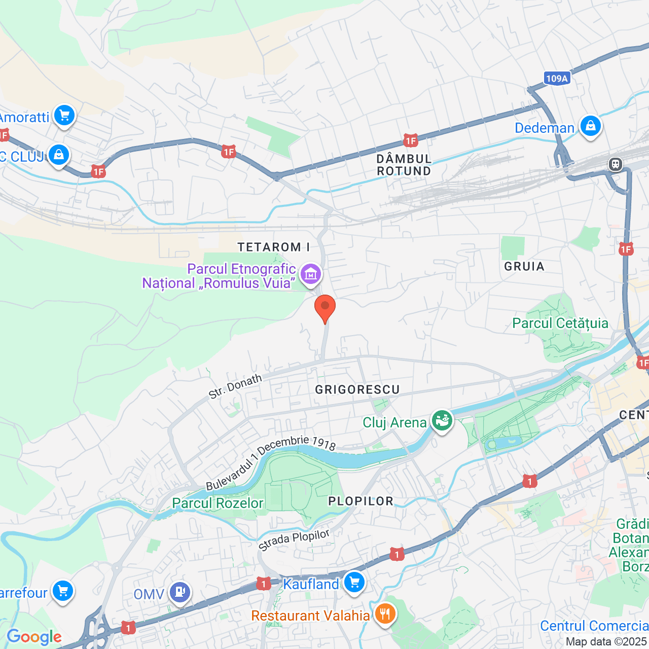 Poza harta streetview, zoom 14, adresa Strada Tăietura Turcului Cluj Napoca, , judetul