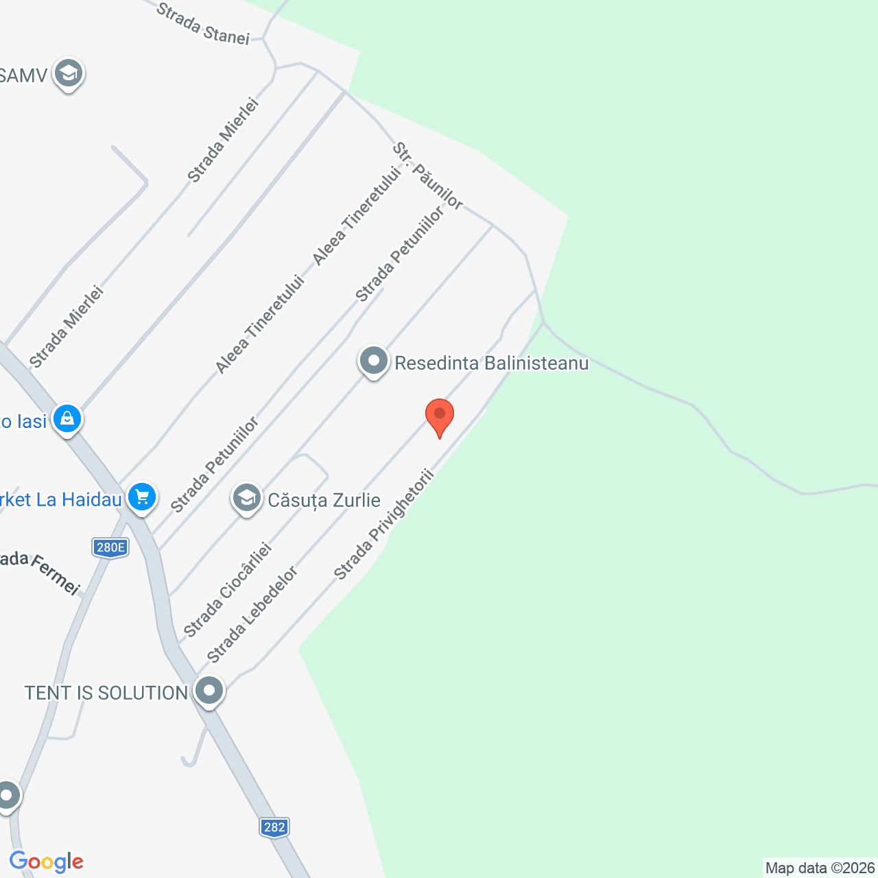 Poza harta streetview, zoom 16, adresa Rediu Iasi, , judetul