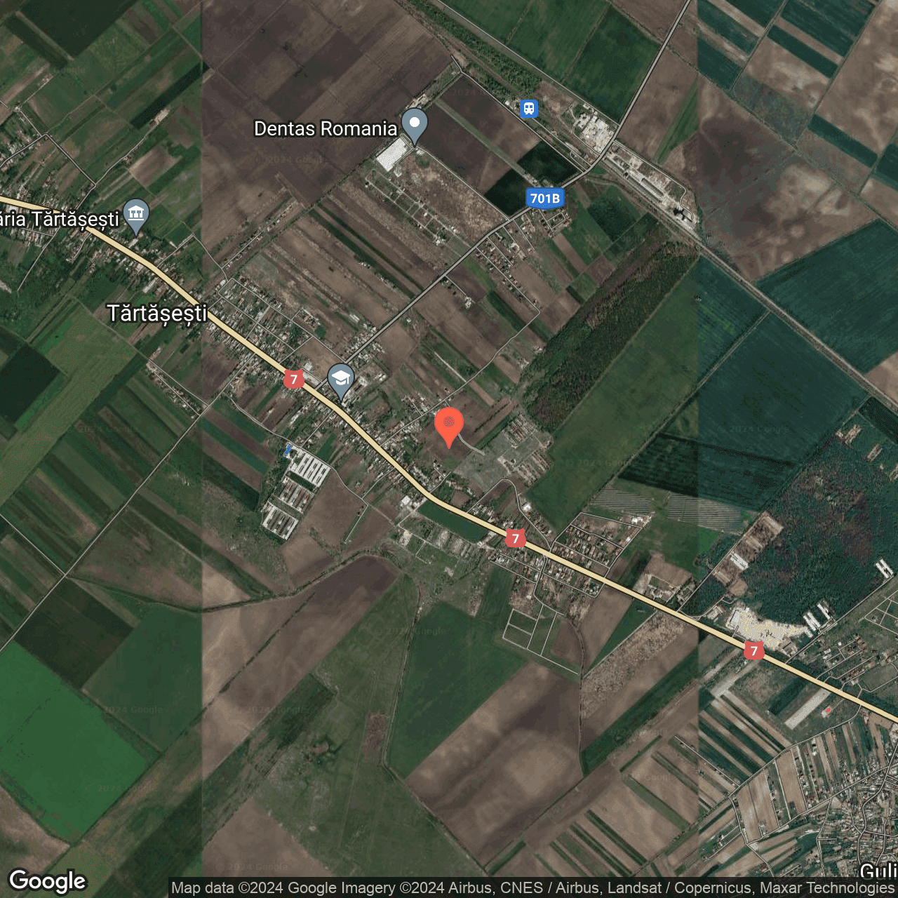 Poza harta hybrid, zoom 14, adresa Gulia Tartasesti, , judetul