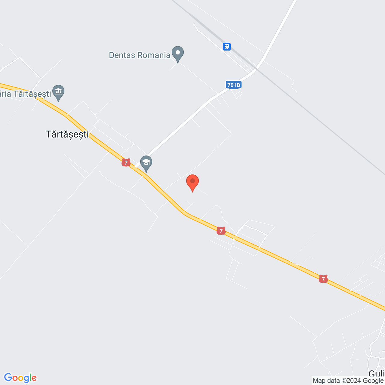 Poza harta streetview, zoom 14, adresa Gulia Tartasesti, , judetul