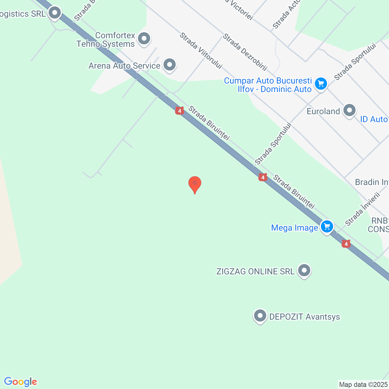 Poza harta streetview, zoom 16, adresa Popesti Leordeni, , judetul