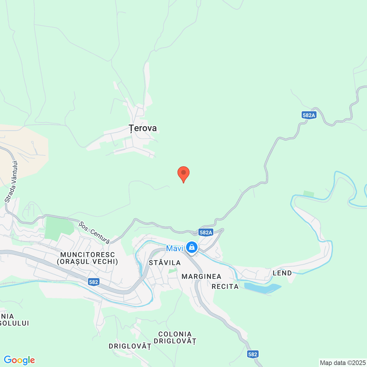 Poza harta streetview, zoom 14, adresa Țerova, Reșița, FN, Jud. Caraș-Severin, , judetul