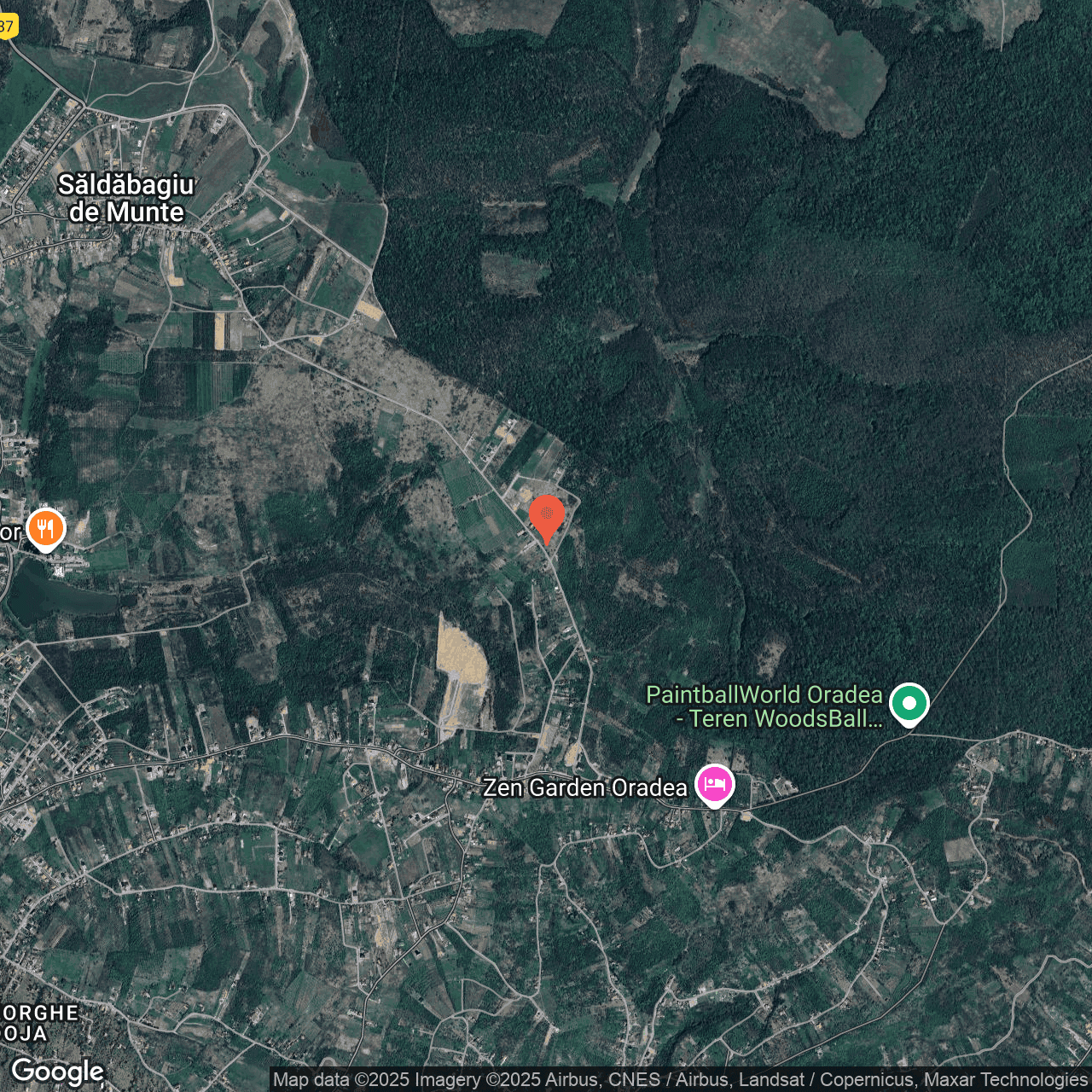 Poza harta hybrid, zoom 14, adresa Paleu Bhor, , judetul