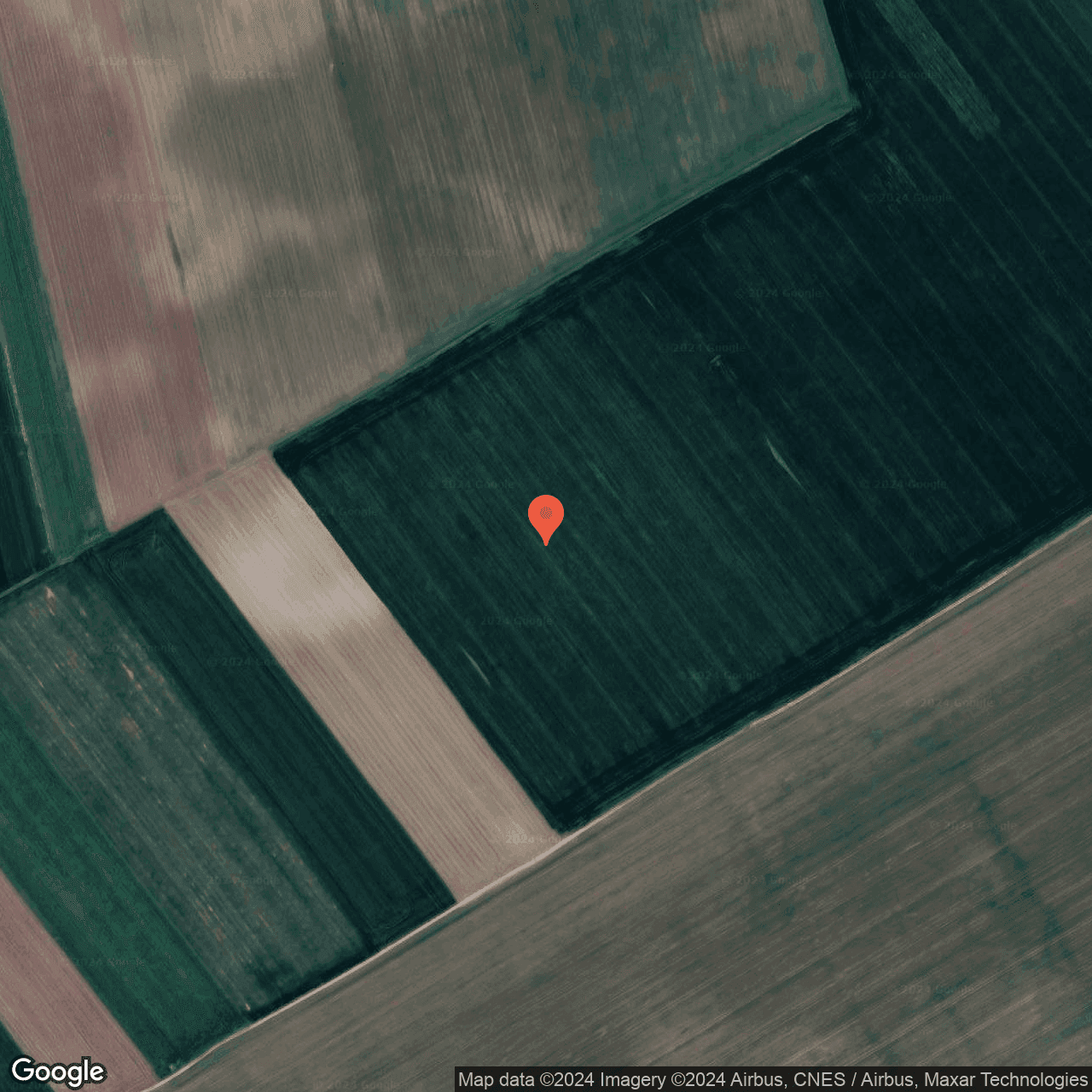 Poza harta hybrid, zoom 16, adresa Vasilati Calarasi, , judetul