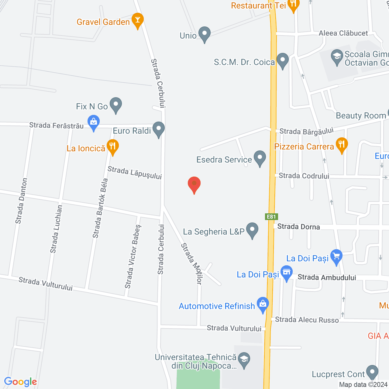 Poza harta streetview, zoom 16, adresa Satu Mare, , judetul