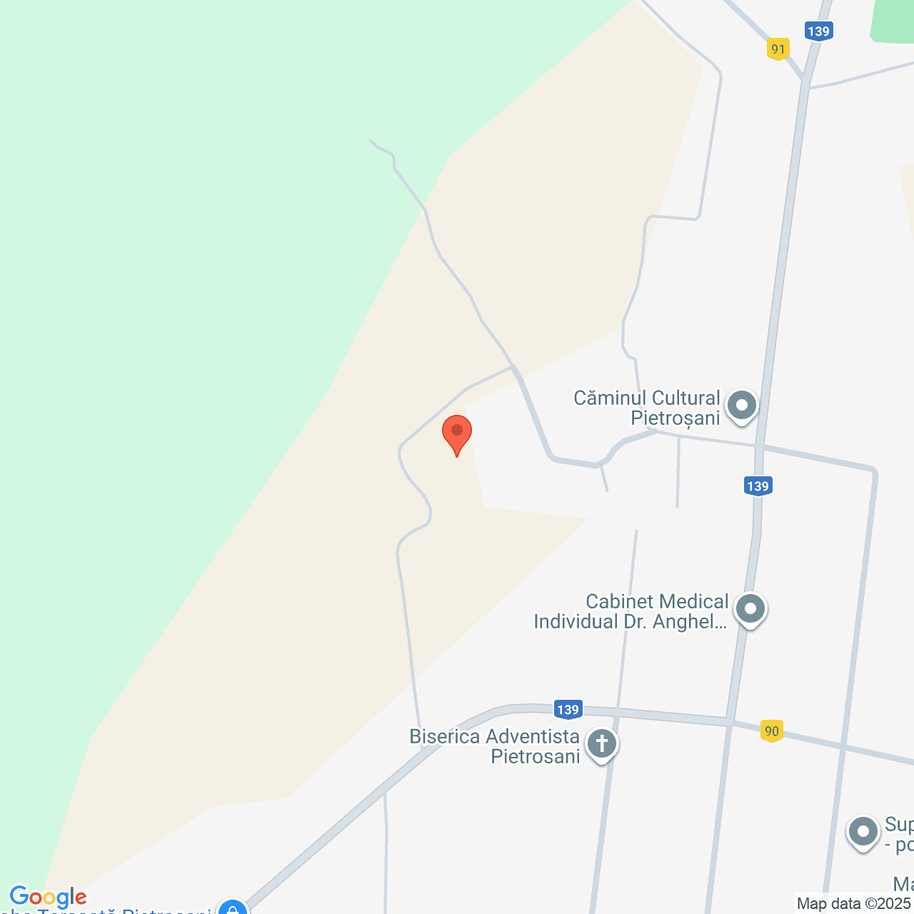 Poza harta streetview, zoom 16, adresa Puchenii Mari Prahova, , judetul