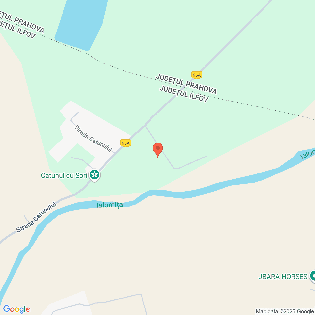 Poza harta streetview, zoom 16, adresa Ciolpani Ilfov, , judetul