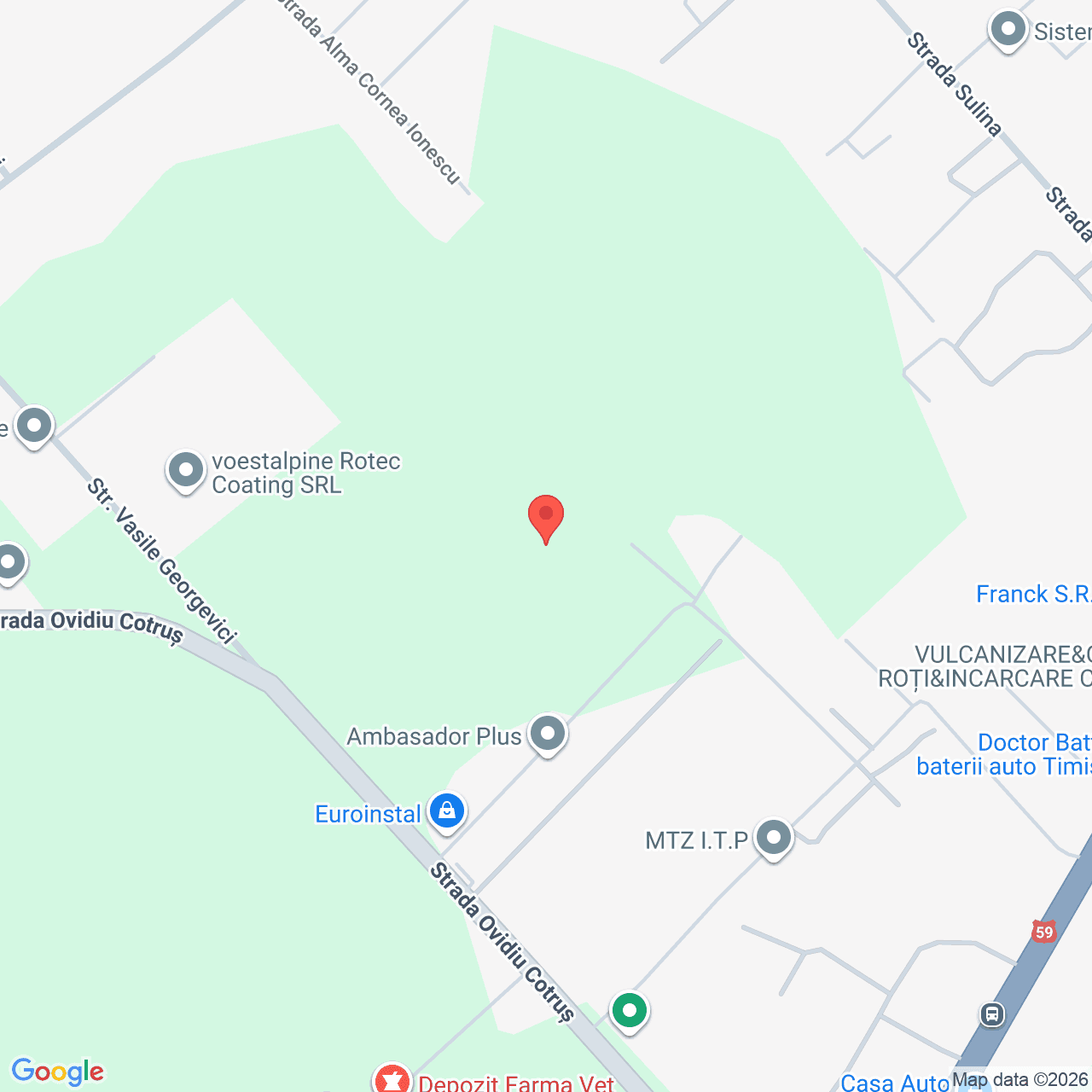 Poza harta streetview, zoom 16, adresa Timisoara Timis, , judetul