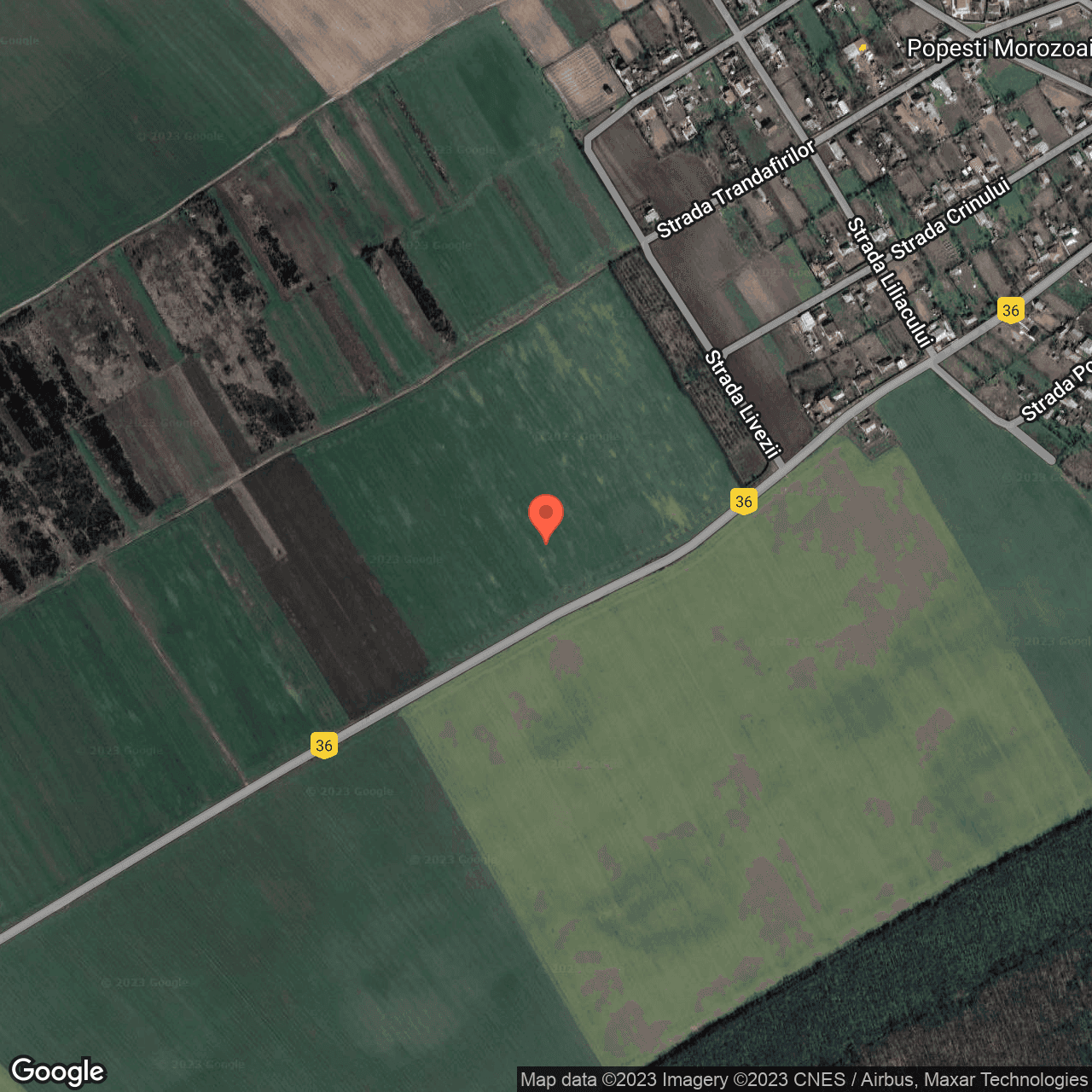 Poza harta hybrid, zoom 16, adresa Popesti Jud Calarasi , , judetul