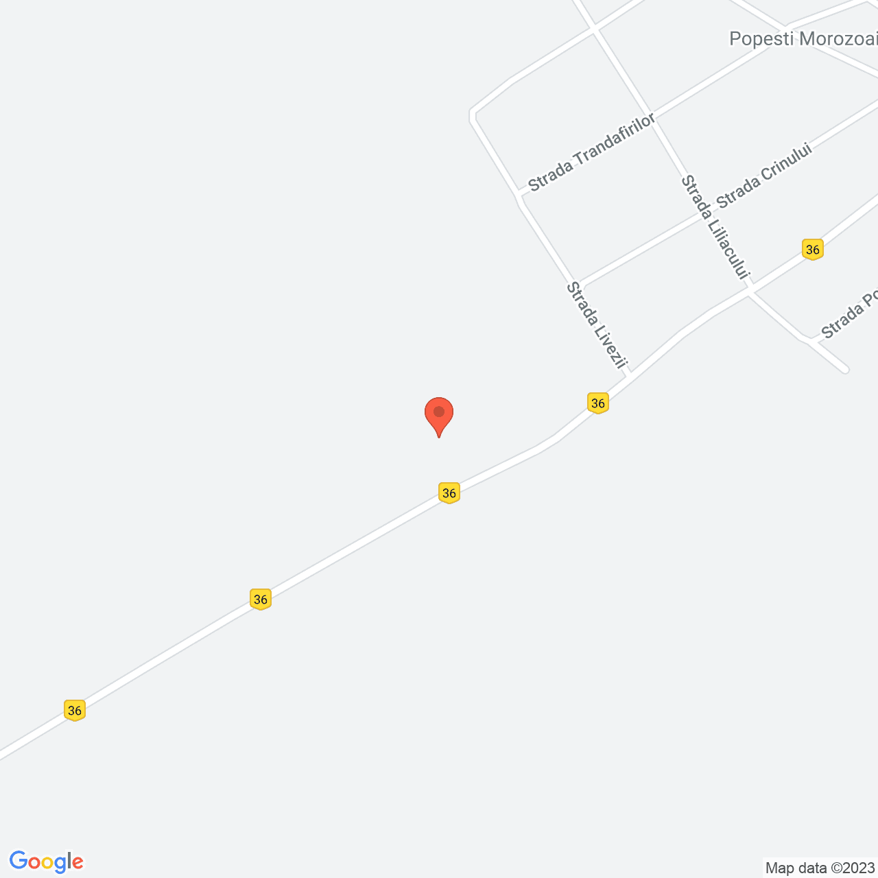 Poza harta streetview, zoom 16, adresa Popesti Jud Calarasi , , judetul