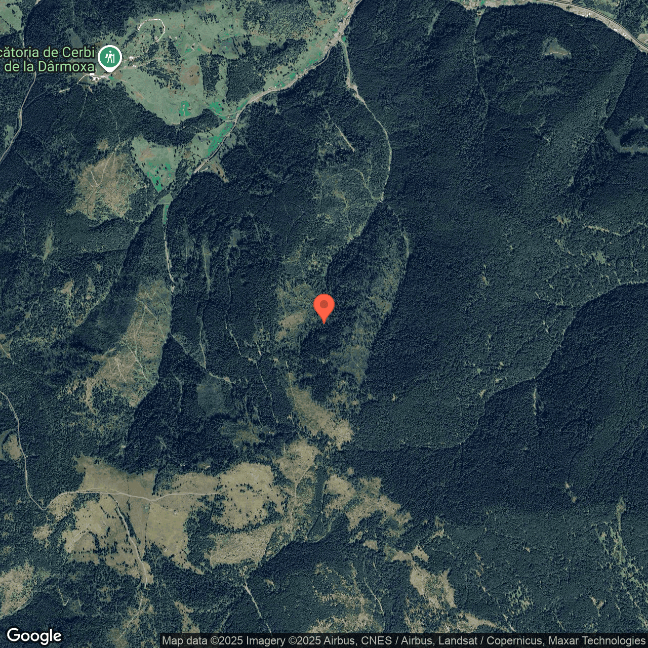 Poza harta hybrid, zoom 14, adresa Panaci Suceava, , judetul