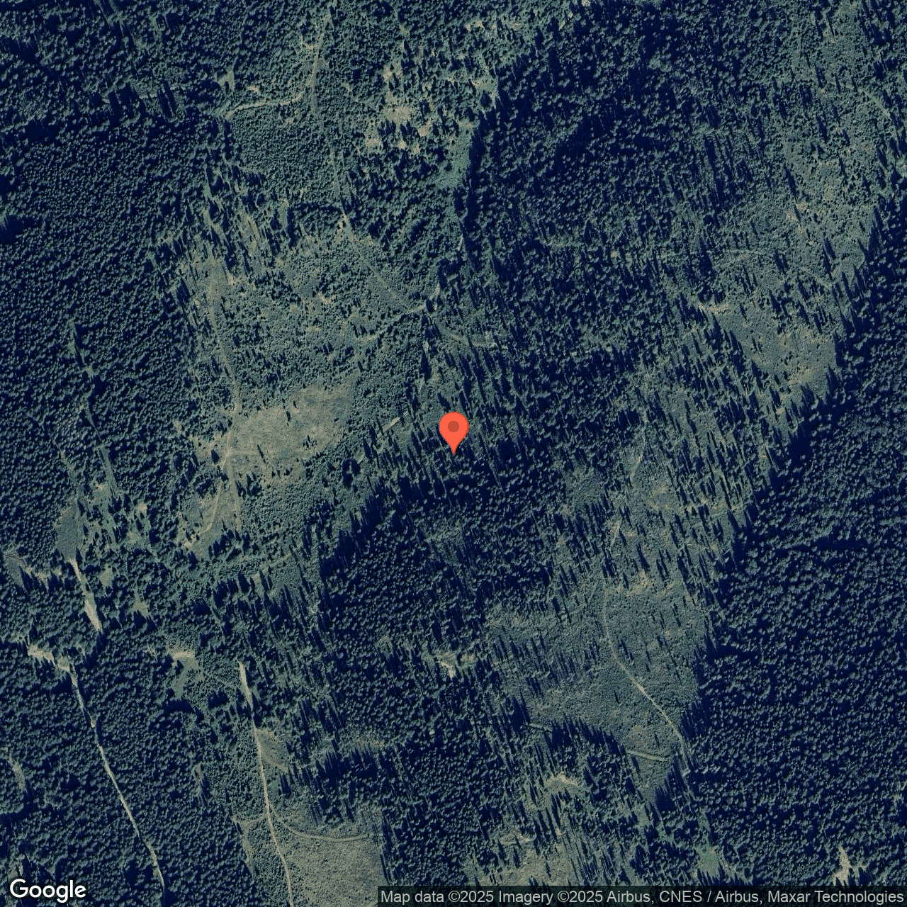 Poza harta hybrid, zoom 16, adresa Panaci Suceava, , judetul