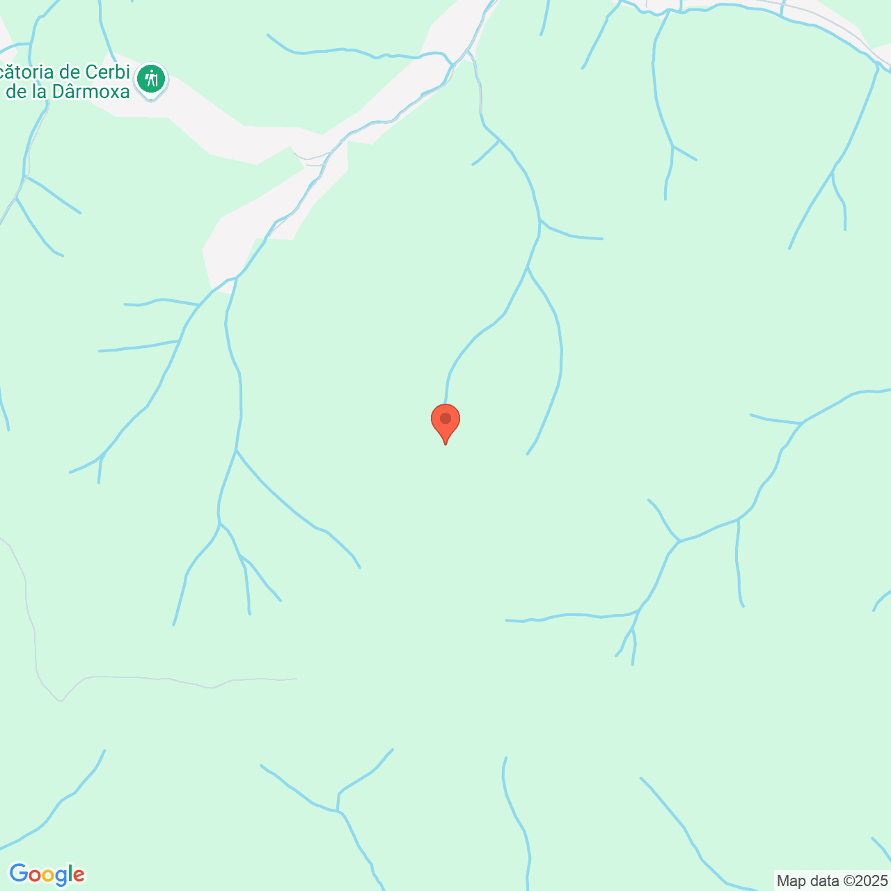 Poza harta streetview, zoom 14, adresa Panaci Suceava, , judetul