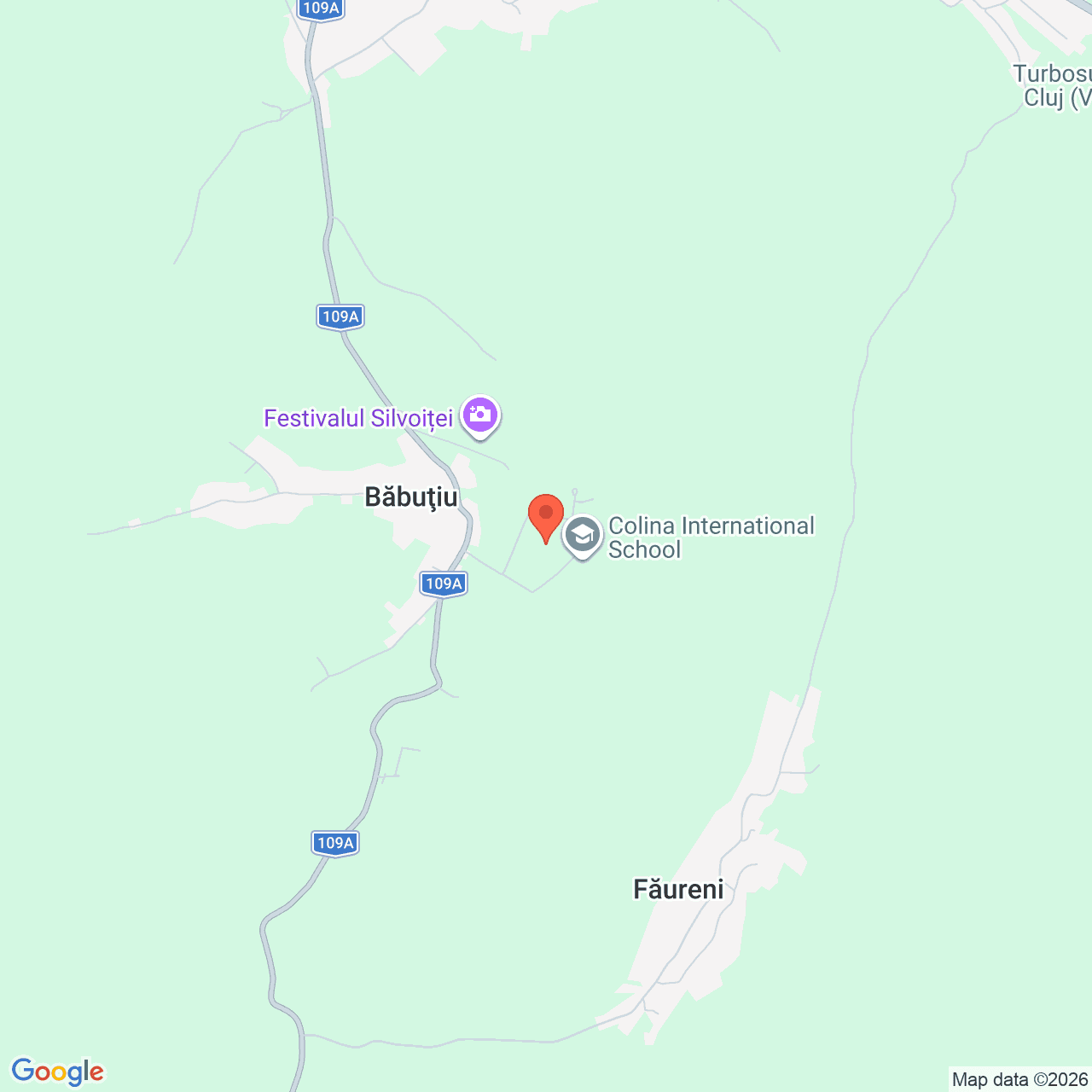 Poza harta streetview, zoom 14, adresa Sat Băbuțiu, Comuna Vultureni Judet Cluj, , judetul