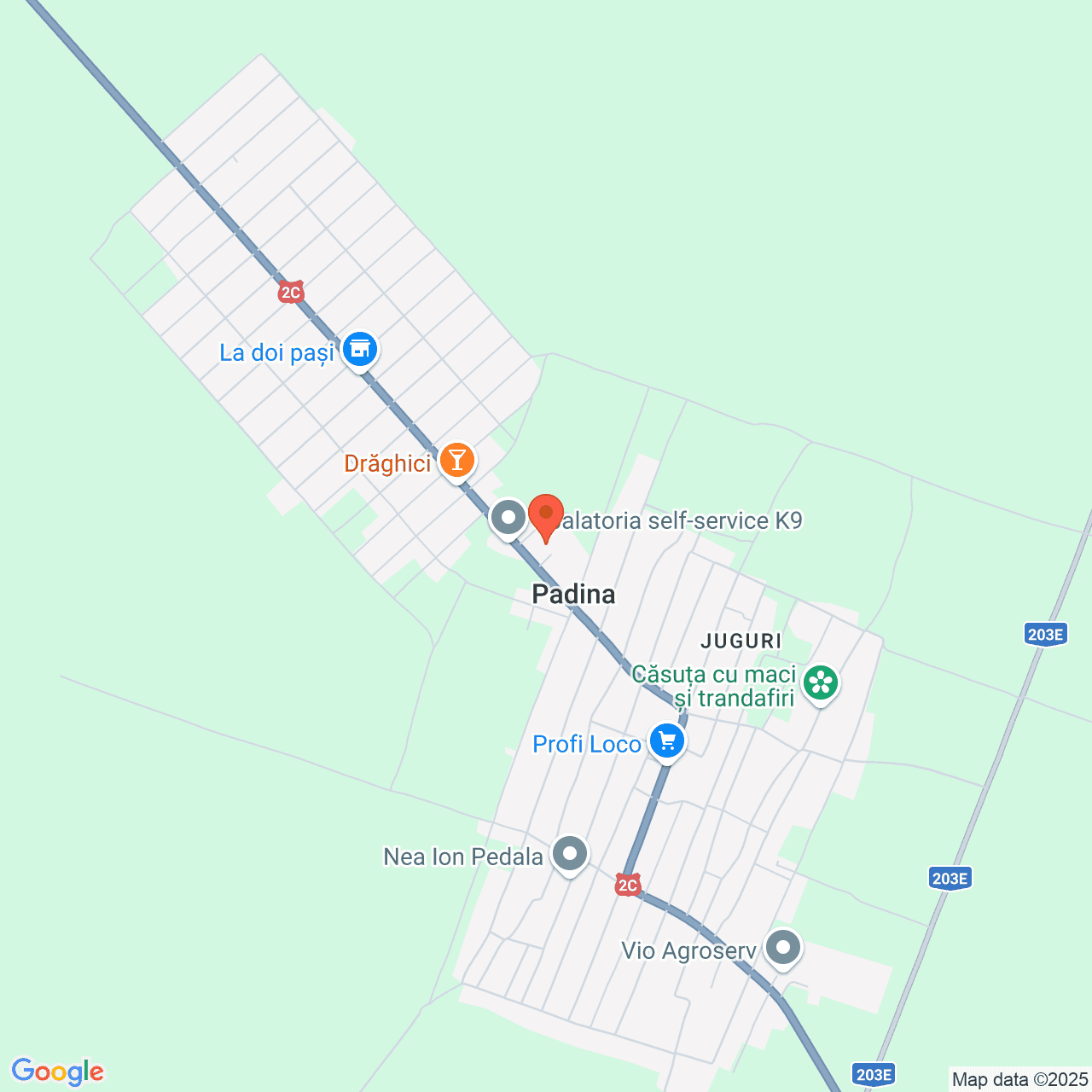 Poza harta streetview, zoom 14, adresa Padina Buzau, , judetul