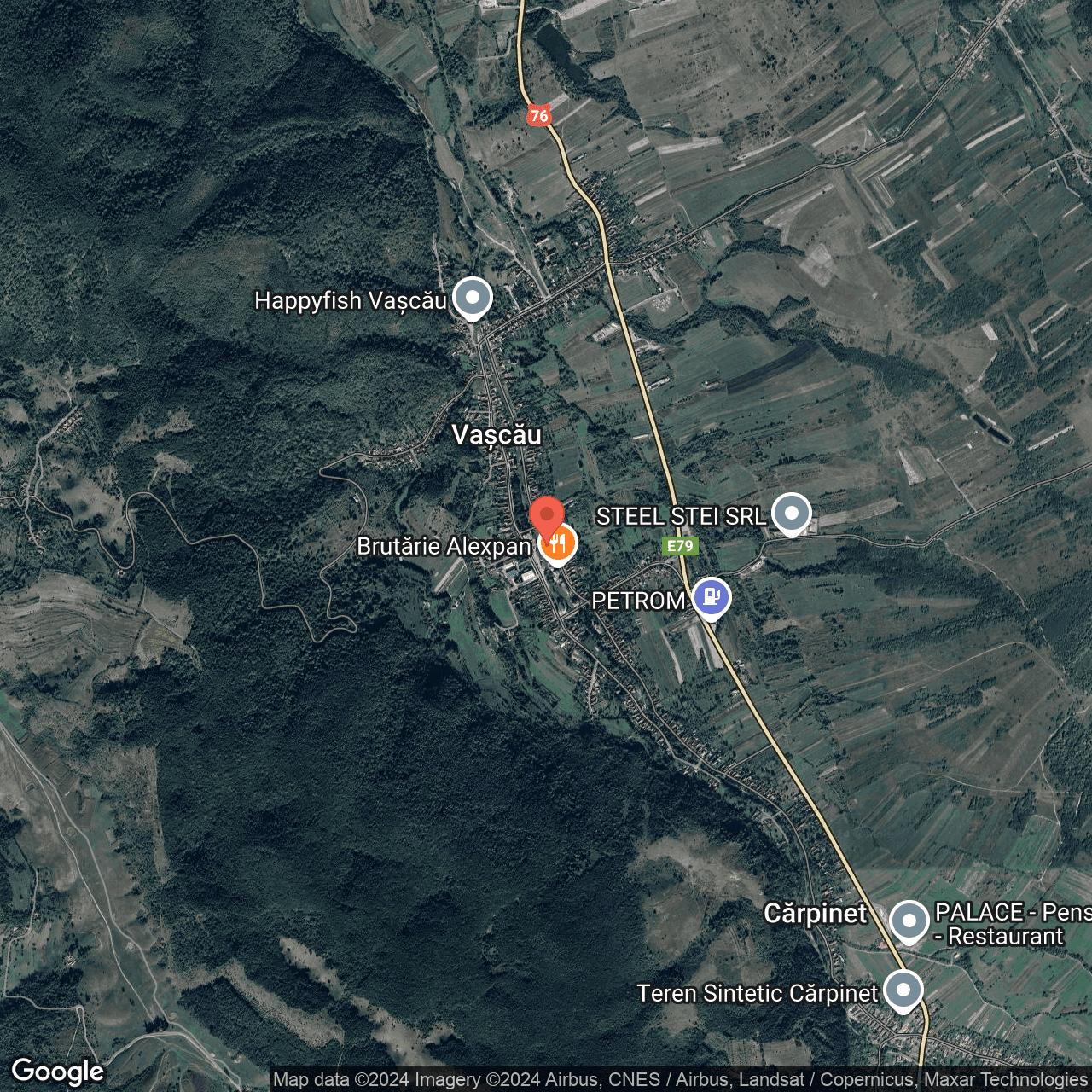 Poza harta hybrid, zoom 14, adresa Vascau Bihor, , judetul