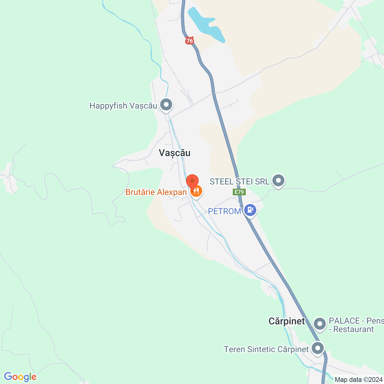 Poza harta streetview, zoom 14, adresa Vascau Bihor, , judetul