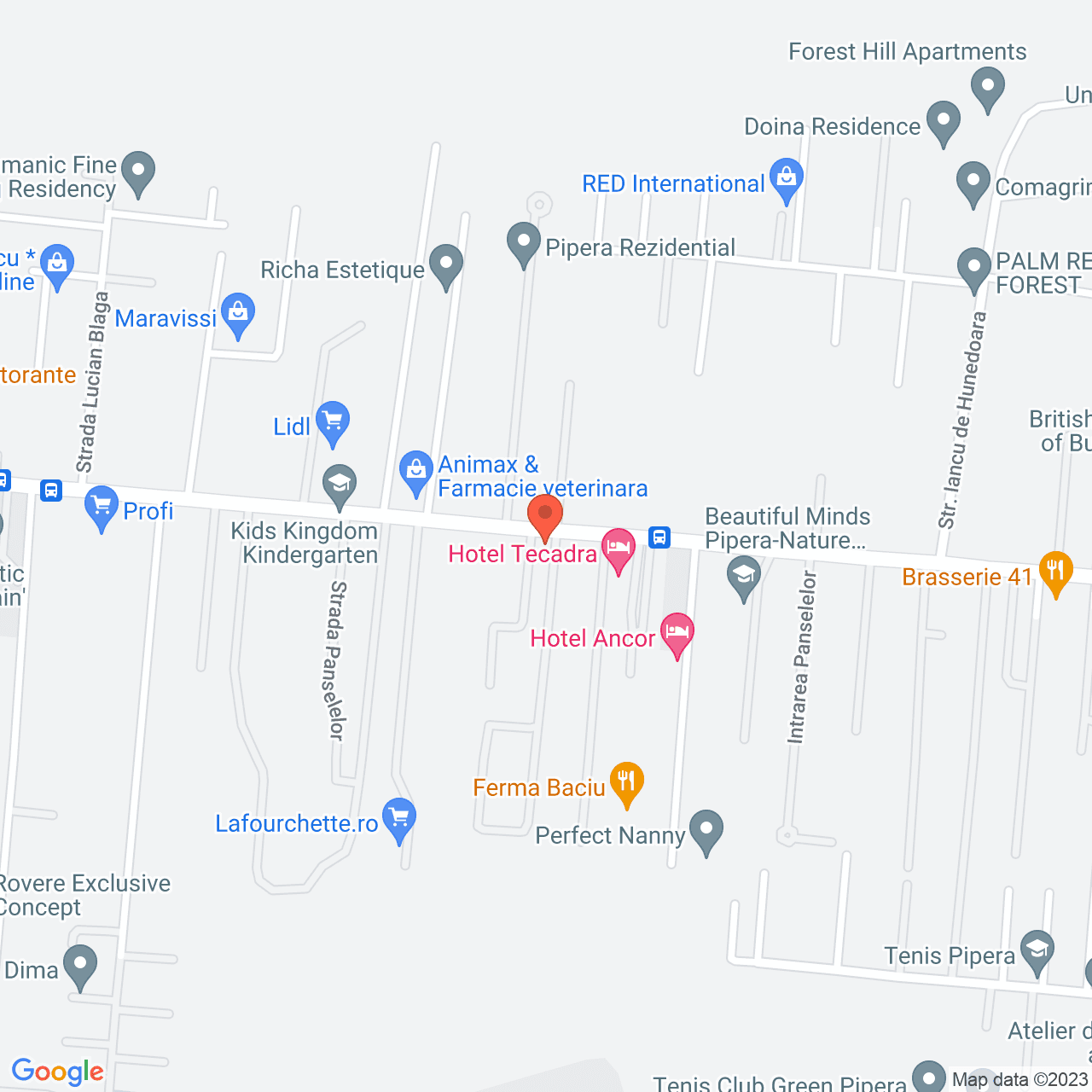 Poza harta streetview, zoom 16, adresa Iancu Nicolae 29 Pipera Voluntari, , judetul